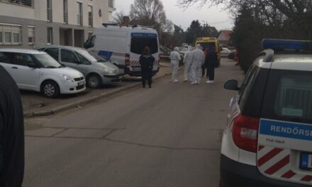 Gyilkosság Fóton: 4 hónap házasság után, saját hálószobájában végzett feleségével a férfi