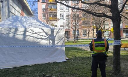 Két gyilkosság is történt 24 óra alatt: emberölés áldozata lett a szekszárdi játszótéren talált férfi Nyékládházán is megöltek egy embert