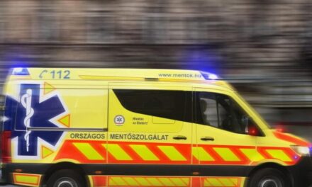 Kerékszerelés közben esett rá az autója az idős férfira, nem tudták megmenteni az életét