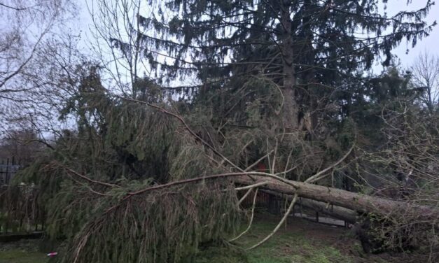 Ítéletidő: 110 km/órás szél tombol Vas megyében, 4 ezer háztartás maradt áram nélkül, 8 ezer lakásban nincs fűtés