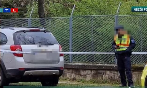 Féregnek és kutyának szólították nevelőszülei azt a 2 éves kisfiút, akinek holttestét nevelőanyja autójában találták meg