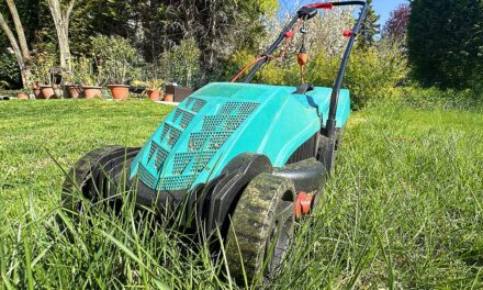 A fűnyírás 10 parancsolata: Így lesz gyönyörű a kerted, és marad meg a béke a szomszéddal