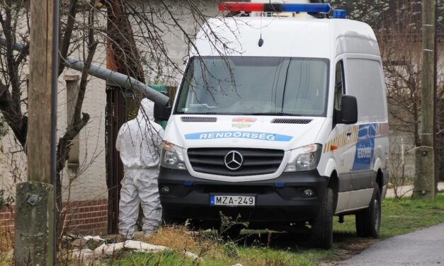 Gyilkosság Vizsolyban: vajazókéssel szúrkálta halálra testvérét egy nő Vizsolyban