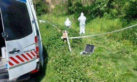 Sokkoló gyilkosság Tolnában: egy 57 éves nő holttestét találták meg egy kútban