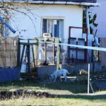 Fejszével verte agyon az alvó párt, miután azok megtudták a nevelt lányától, milyen szörnyűségeket művelt vele