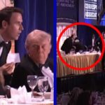 Pánik és lövöldözés a gálavacsorán: Kimentették Trumpot a testőrök – Rejtély, miért a nemrég Magyarországon járt alelnököt menekítették ki előbb – VIDEÓ