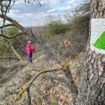 Tavaszi zsongás Budapest környékén: Itt a tökéletes vasárnap a szabadban