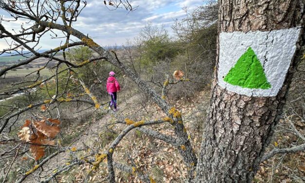 Tavaszi zsongás Budapest környékén: Itt a tökéletes vasárnap a szabadban