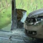 Fék helyett a gázra taposott az idős asszony, majd becsapódott a székesfehérvári állateledel boltba – videó a cikkben