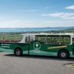Megérkezett a Balaton első hop-on hop-off borbusza: Új korszak indul a belföldi borturizmusban