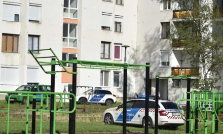 Durva haláleset Szentlőrincen: kidobhatták a 4. emeletről a 17 éves lányt, aki kiszakította a szunyoghálót, úgy zuhant a mélybe