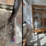 Horror az óbudai iskolában: Fertőzésveszély és ürülékpor, az igazgatónő magyarázkodik