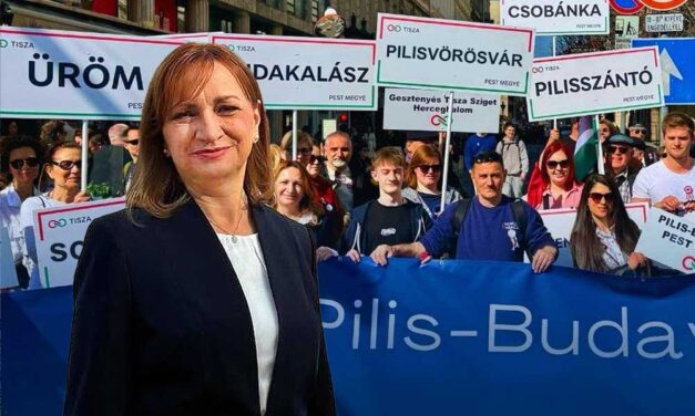 Tiltakoznak a pilisi polgármesterek a tervezett fizetéscsökkentés ellen: levelet írtak Bujdosó Andreának