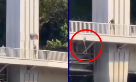 Dunába dobta a szivárványos zászlókat egy ismeretlen az Erzsébet hídról, a megafonosok ünneplik a rongálót – videó a cikkben