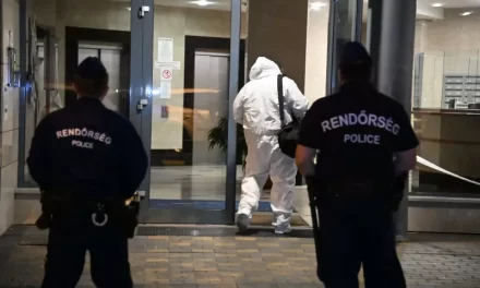 Gyilkosság Budapesten: saját dédanyját végezte ki a 16 éves Rudolf, majd zálogházba vitte a halott asszony fülbevalóját