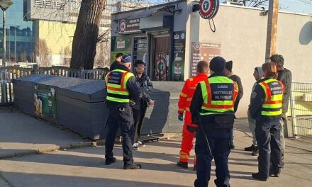 Rendőrségi razzia a Kelenföldi pályaudvaron: 17 körözött személyt fogtak – videó a cikkben