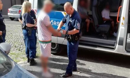 Razzia Pesterzsébeten: Kábítószer-kereskedőt és a vásárlóit is elfogták a rendőrök, ez vár most rájuk