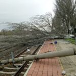 Vasúti baleset Nyíregyházán: kidőlt fának rohant az InterCity