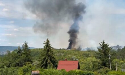 Tűz Törökbálinton: 39 hektáros területen lángol a  növényzet, a polgármester kéri, hogy a környékbeliek ne tartózkodjanak a szabadban