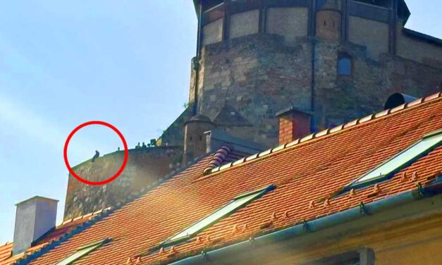 Tragédia Esztergomban: barátaival iszogatott a várban, majd a kőfalról a halálba zuhant a 30 éves férfi