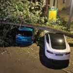 Szélvihar csapott le a Balatonra: Fák dőltek ki és ágak szakadtak a parkoló autókra a csütörtök esti ítéletidőben