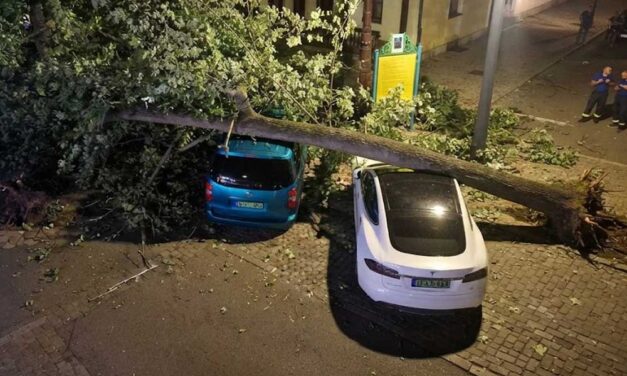 Szélvihar csapott le a Balatonra: Fák dőltek ki és ágak szakadtak a parkoló autókra a csütörtök esti ítéletidőben