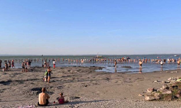 Emberláncot alkottak a strandolók Siófokon: Egy eltűnt ötéves kisfiút kerestek a Balatonban