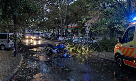 „Már nem lélegzett, amikor rátaláltak” – pár száz méterre volt otthonról a 16 éves motoros, amikor a viharban rádőlt egy fa