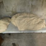 Rabszolgaként tartotta apa és fia a kiszolgáltatott emberek: egy pincében szállásolták el őket, rendszeresen bántalmazták őket – videó a cikkben