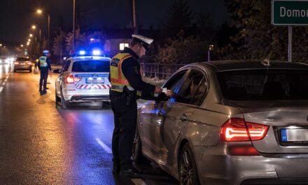 A lejárt műszaki miatt állították meg a rendőrök, amikor lehúzta az ablakot, tudták, hogy sokkal nagyobb a baj