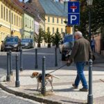 Büntetés kutyapisiért a Budai Várban – Kötelező lesz a kakis zsák mellett a vizespalack is, hogy a pisit leöblítsék a kutyasétáltatók a járdáról