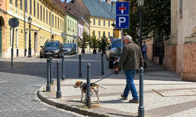 Büntetés kutyapisiért a Budai Várban – Kötelező lesz a kakis zsák mellett a vizespalack is, hogy a pisit leöblítsék a kutyasétáltatók a járdáról